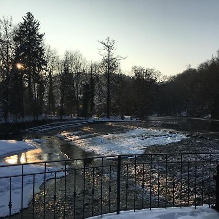 Апартаменти Auf Der Zschopau-Insel Екстер'єр фото